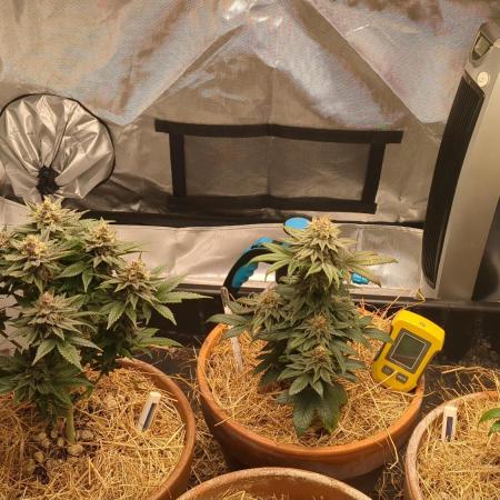 Pakistan Chitral Kush