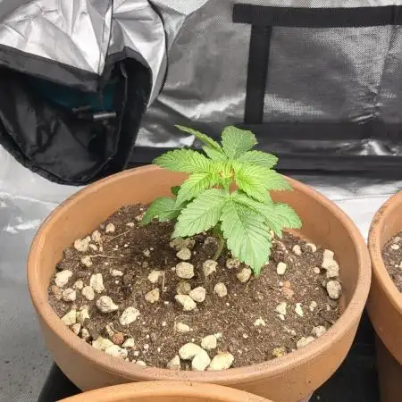 Pakistan Chitral Kush