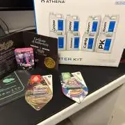 Zamnesia x Athena x AcInfinity