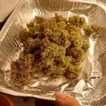 600W Grow - Runtz Automatic