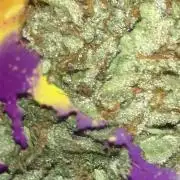 PURE SKUNK 