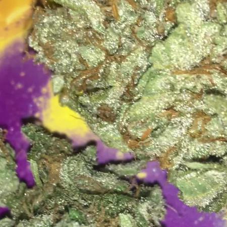 PURE SKUNK 