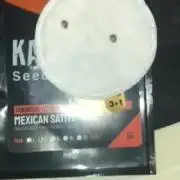MEXICAN SATIVA