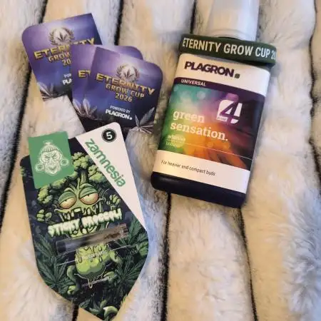 Eternity Grow Cup 2026 Sticky Broccoli