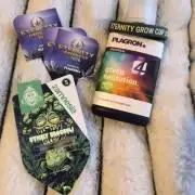 Eternity Grow Cup 2026 Sticky Broccoli