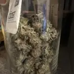 Auto Run 🤟🏻😝