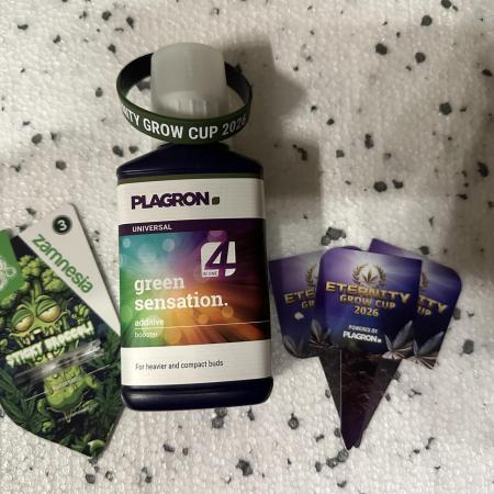 Eternity Grow Cup 2026