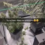 100x100x200 Autopots run