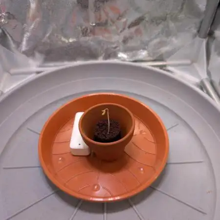 Wedding Cake Auto by RQS