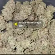 White Truffle BX x Rainbow Melon