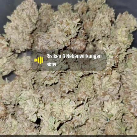 White Truffle BX x Rainbow Melon