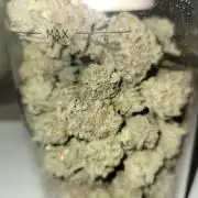 Chem D x Banana Zkittlez