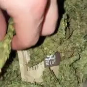 Greenhouse Cycle Part 1