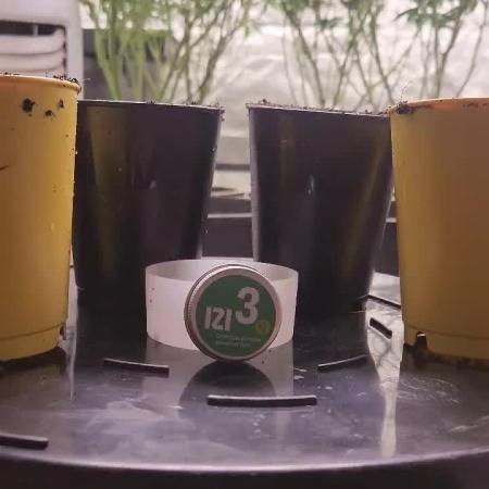 IZI Seeds Grow Report Contest 2025