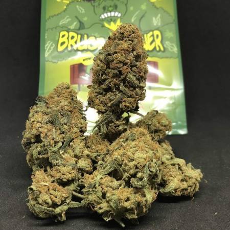 Bruce Banner by PEV Seeds