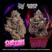 Double trouble Shazam + Dantes Wrath