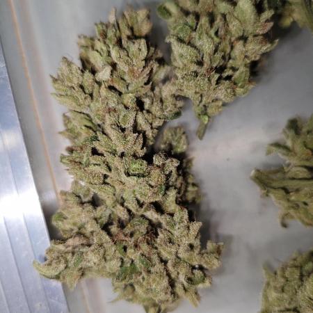 Pound Cake - Outdoor