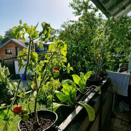💚🌱Balcony Garden🌱💚