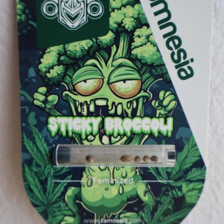 Eternity Grow Cup 2026