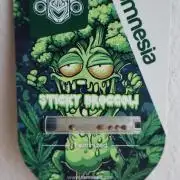 Eternity Grow Cup 2026