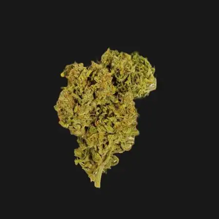 White Widow F1 (Outdoor) Zamnesia
