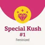 Special Kush #1 (Indoor) RQS