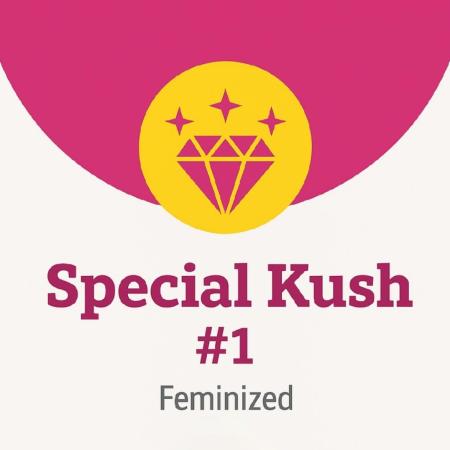 Special Kush #1 (Indoor) RQS