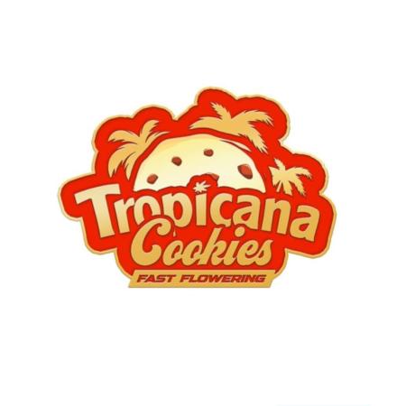 Tropicana Cookies (Indoor) Fastbuds