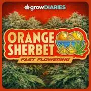 Orange Sherbet FF | Fastbuds