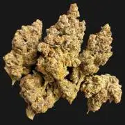 Tropicana Cookies FF 2.0