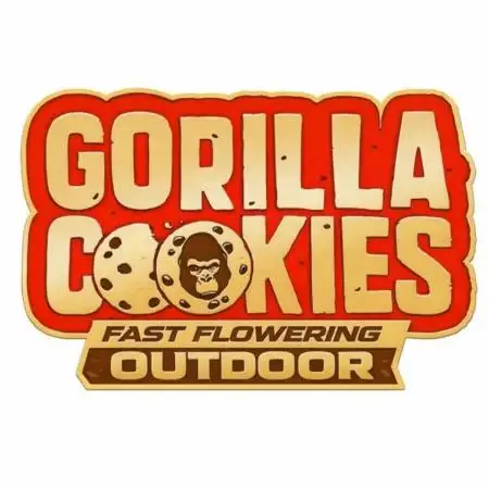 Gorilla Cookies FF (Outdoor)