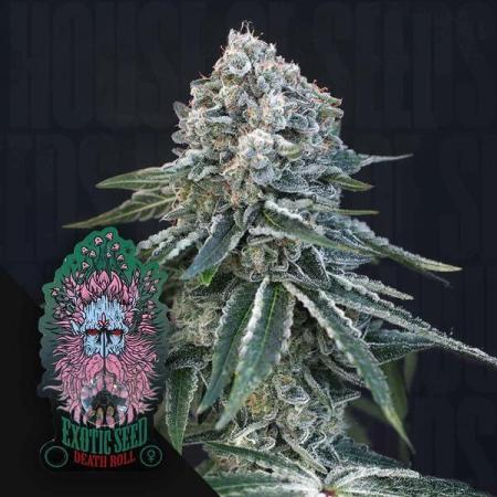Death Roll | Exotic Seeds