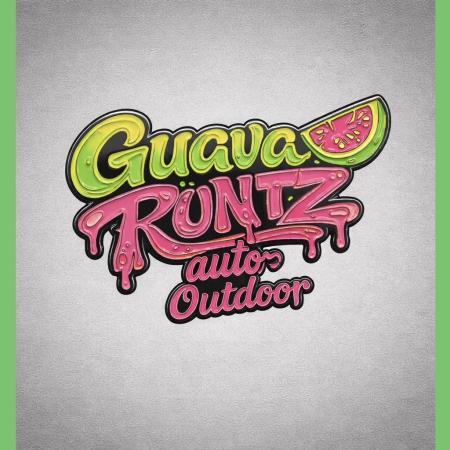 Guava Runtz Auto | Fastbuds (Outdoor)