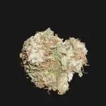 Milky Way F1 (Outdoor) Royal Queen Seeds