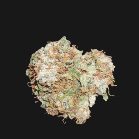 Milky Way F1 (Outdoor) Royal Queen Seeds