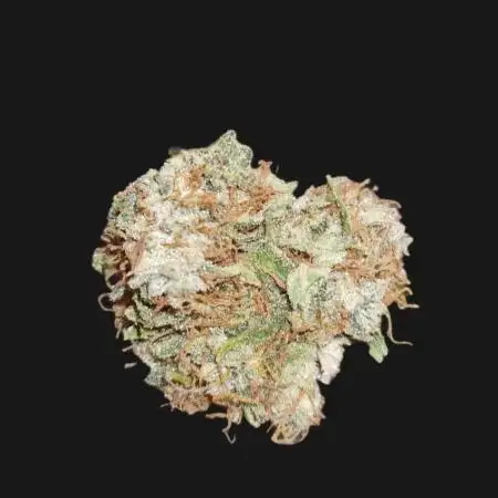 Milky Way F1 (Outdoor) Royal Queen Seeds