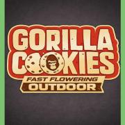 Gorilla Cookies FF (Outdoor Contest)