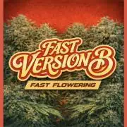 Fast Version B | SSSC