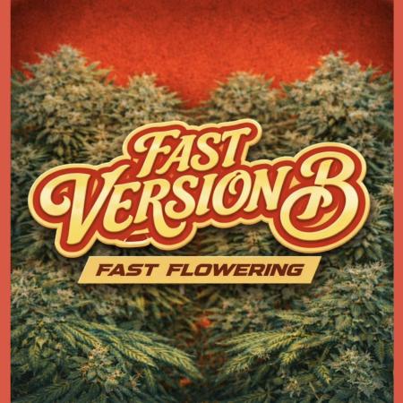 Fast Version B | SSSC