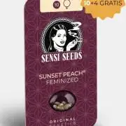 Sunset Peach | Sensi Seeds