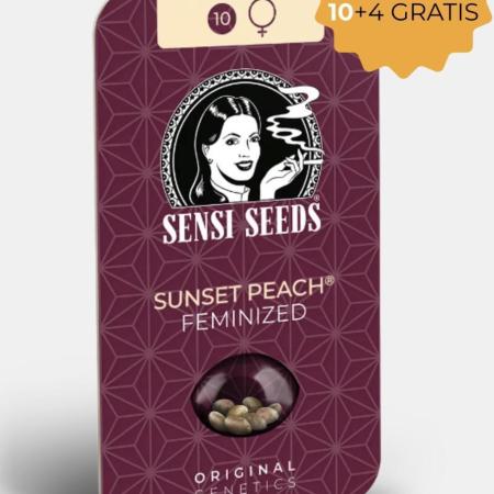 Sunset Peach | Sensi Seeds