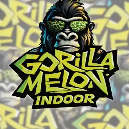 Gorilla Melon (Outdoor to Indoor)