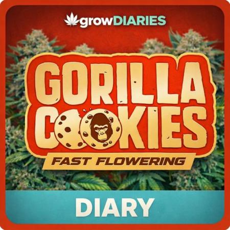 Gorilla Cookies FF | Fastbuds
