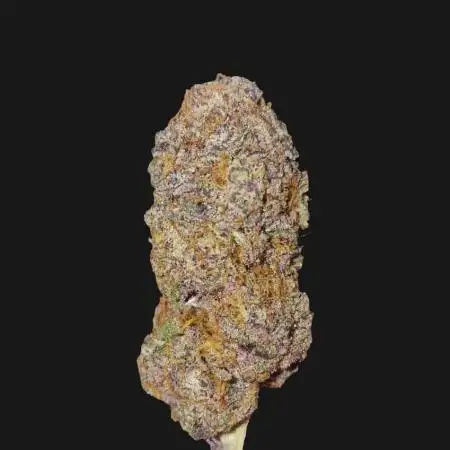 Tropicana Cookies FF 3.0