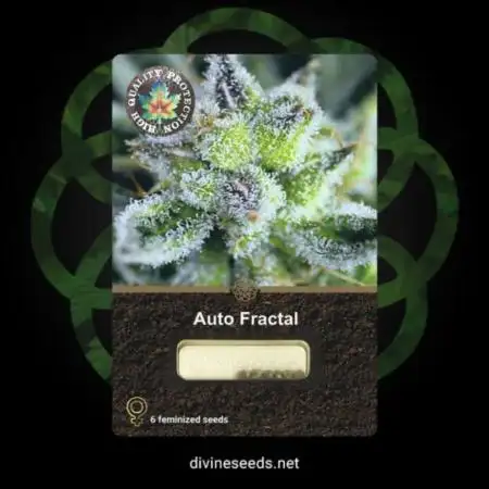 Auto Fractal (Outdoor)