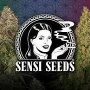 Triple Mints XXL | Sensi Seeds