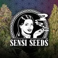 Triple Mints XXL | Sensi Seeds