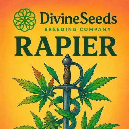 Divine Rapier (Indoor) Divine Seeds