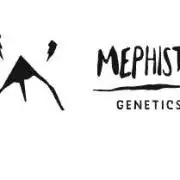 Mephisto's freebie