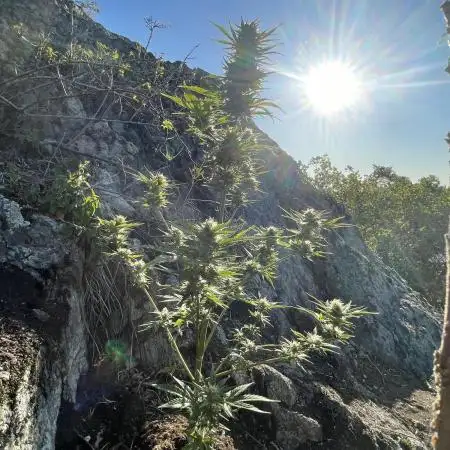 Rocky Outdoor Project part 2
